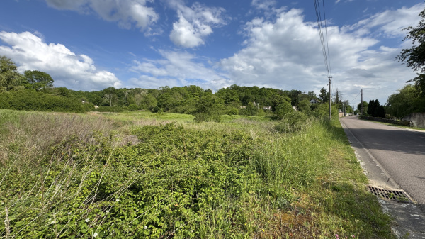 Offres de vente Terrain à batir L'Isle-sur-Serein 89440